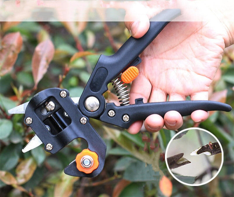 Lisslune | Manual Tree Grafting Scissors