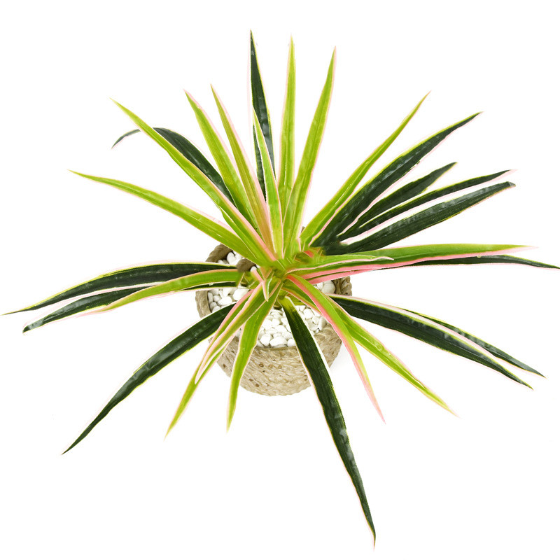Lisslune | Artificial Grass Plant – Decorative Plant for Home and Office