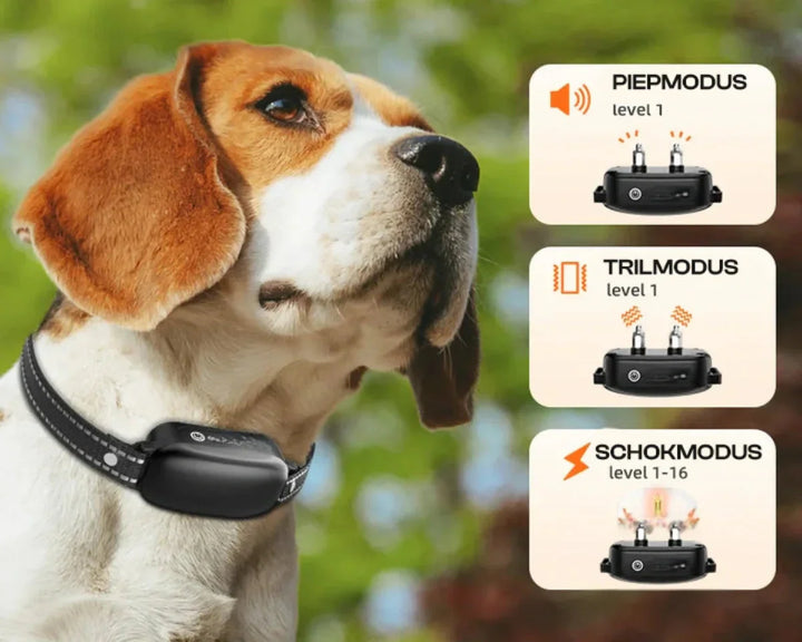 Lisslune | Dog Coach Pro Training Collar – Waterproof Electronic Collar with Remote Control