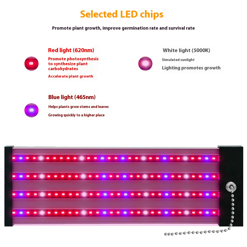 Lisslune | LED plant lamp with full spectrum lighting and pull switch for optimal plant growth