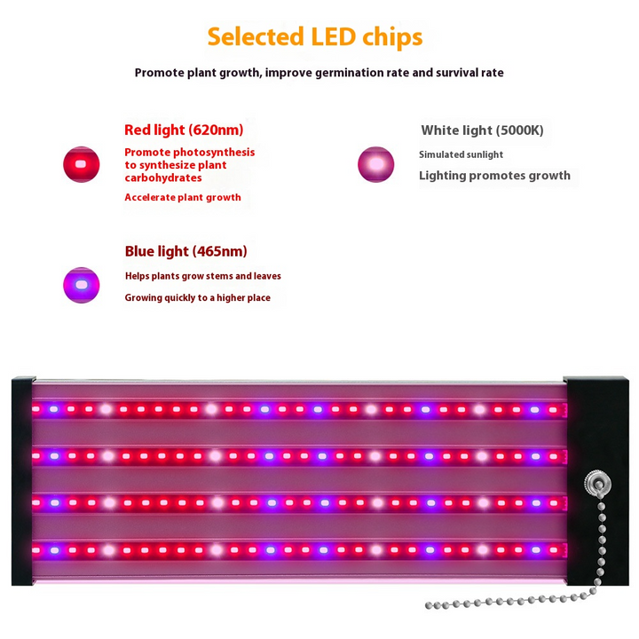 Lisslune | LED plant lamp with full spectrum lighting and pull switch for optimal plant growth