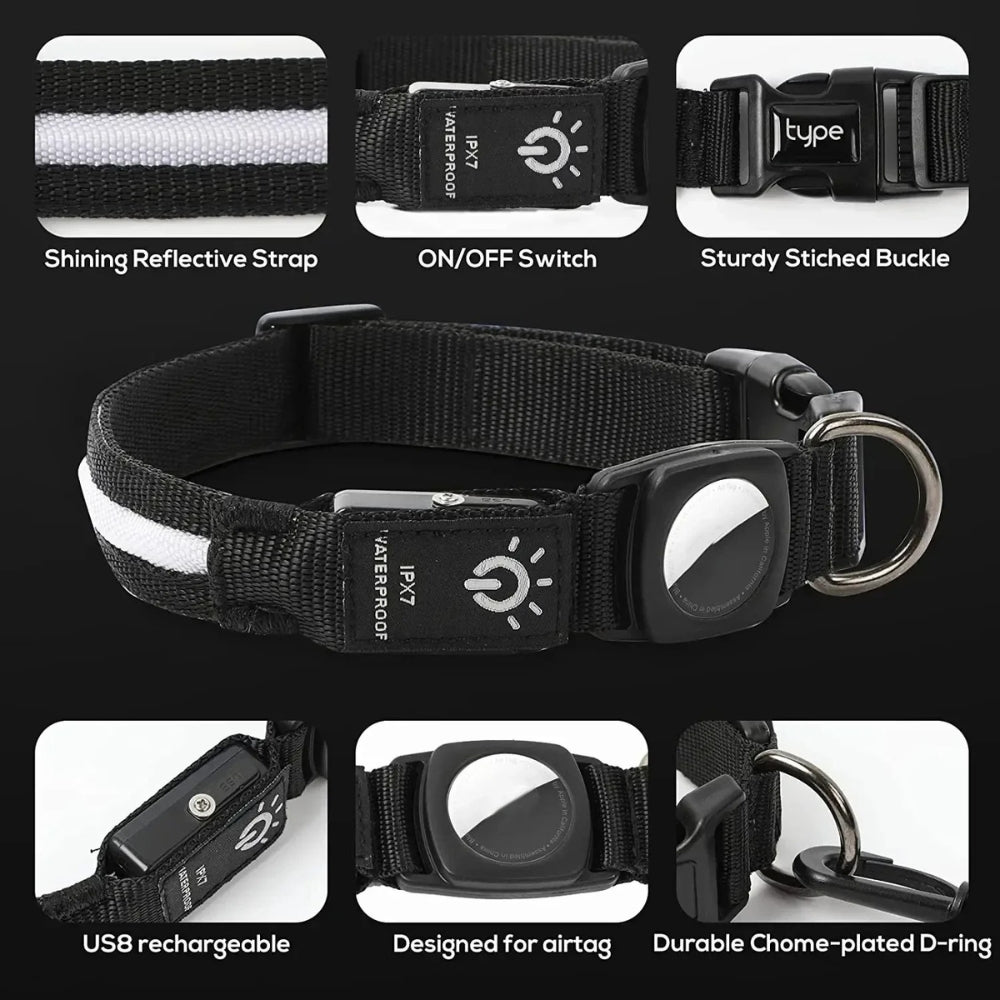 Lisslune | Flashing Dog Collars – Waterproof LED Light Up Dog Collar with USB Rechargeable Glow, Dog Collars Illuminated for Night Safety, All Sizes