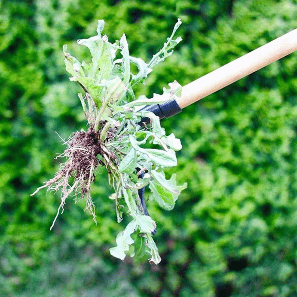 Lisslune | JardinPro - Premium Root Remover