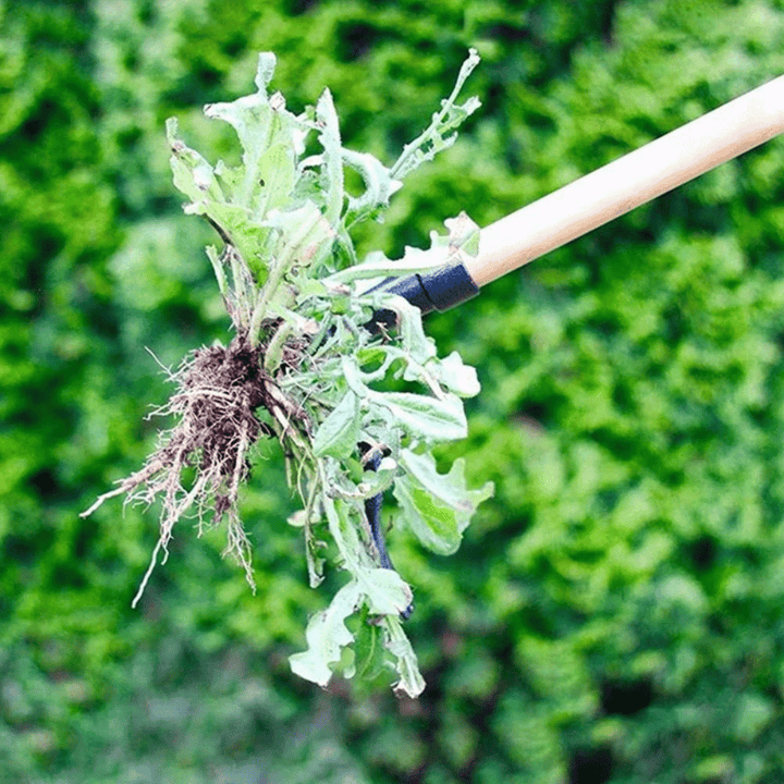 Lisslune | JardinPro - Premium Root Remover