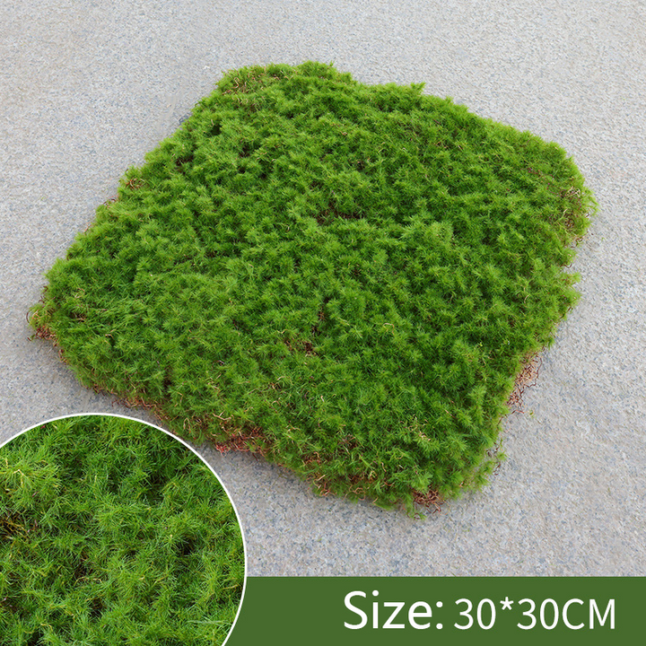 Lisslune | Moss Cover Piece – Moss Flakes Ornament for Decoration and Landscaping
