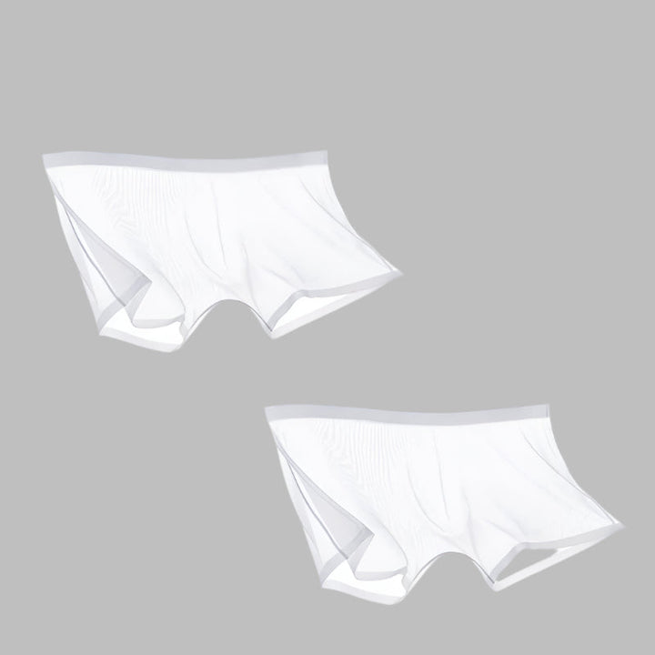 Lisslune | ICE-MESH-BOXER SHORTS