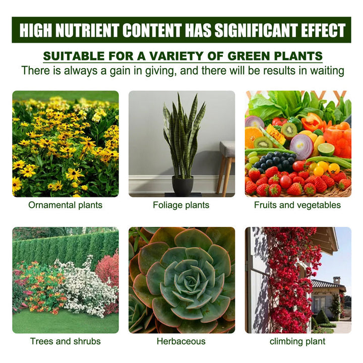 Lisslune | Plant Nutrient Solution