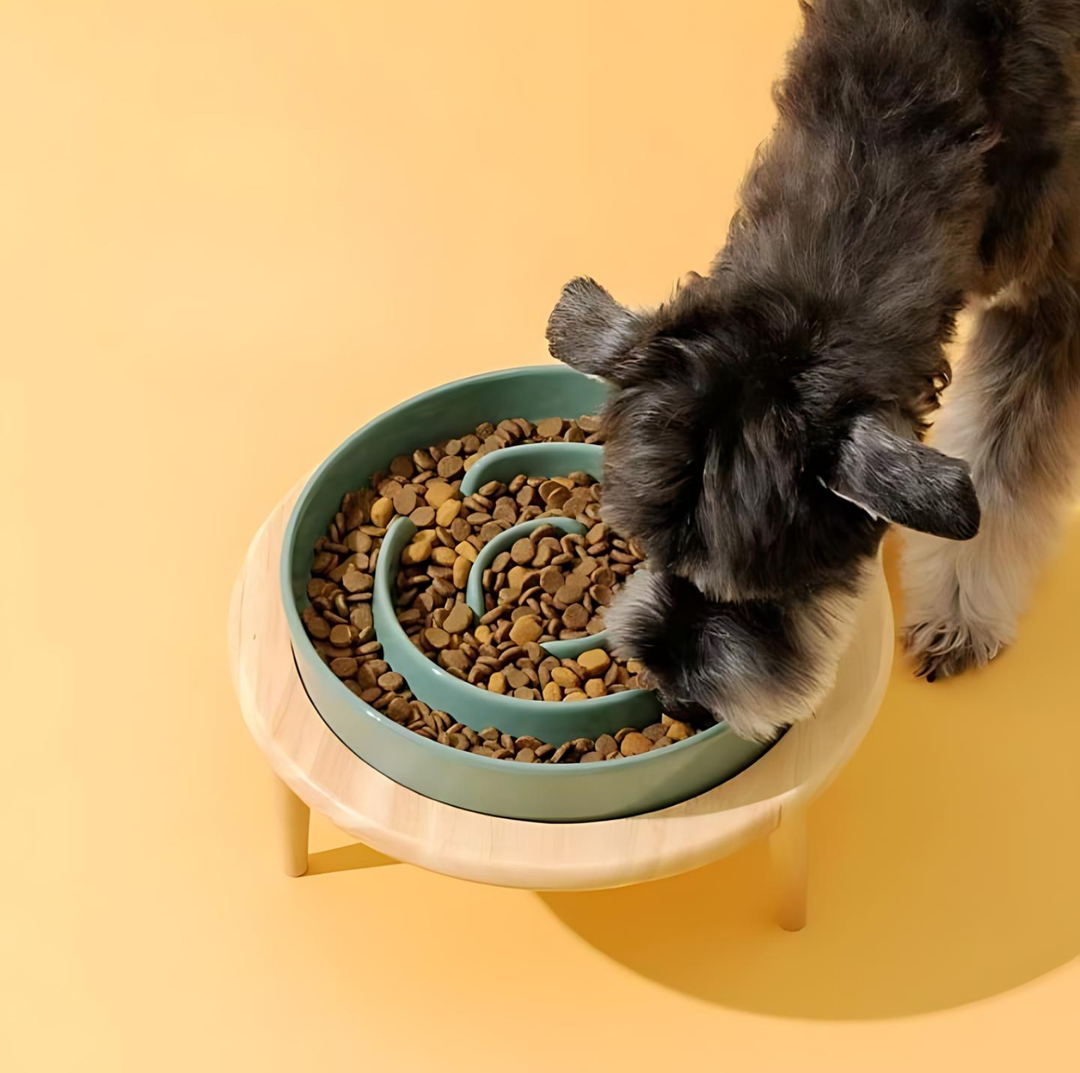 Lisslune | SlowCeramic - Elegant Craft Feeding Bowl for Pets