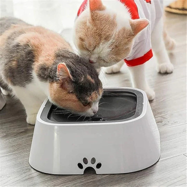 Lisslune | PawSip – Drip water-resistant liquid water bowl for dogs and cats