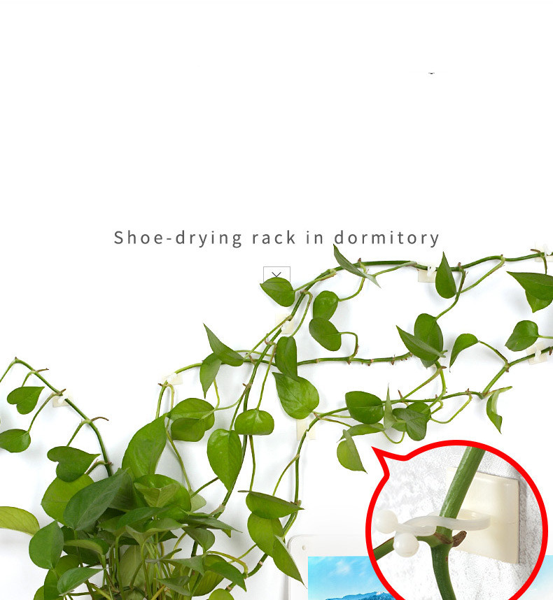 Lisslune | Climbing Wall Mounting Clips – Practical Plant Holders for Wall Decoration