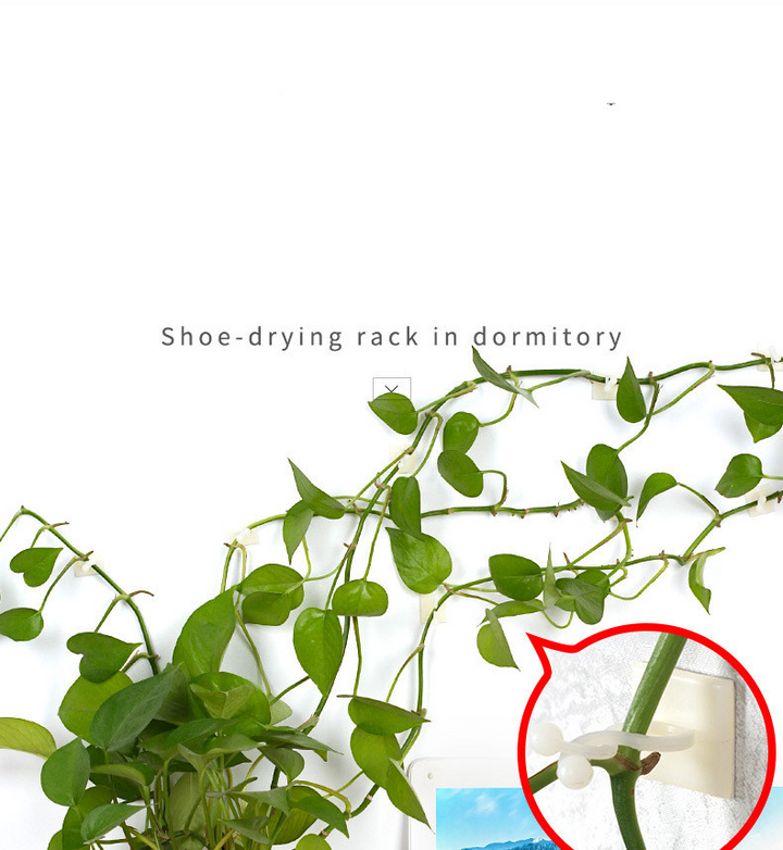 Lisslune | Climbing Wall Mounting Clips – Practical Plant Holders for Wall Decoration