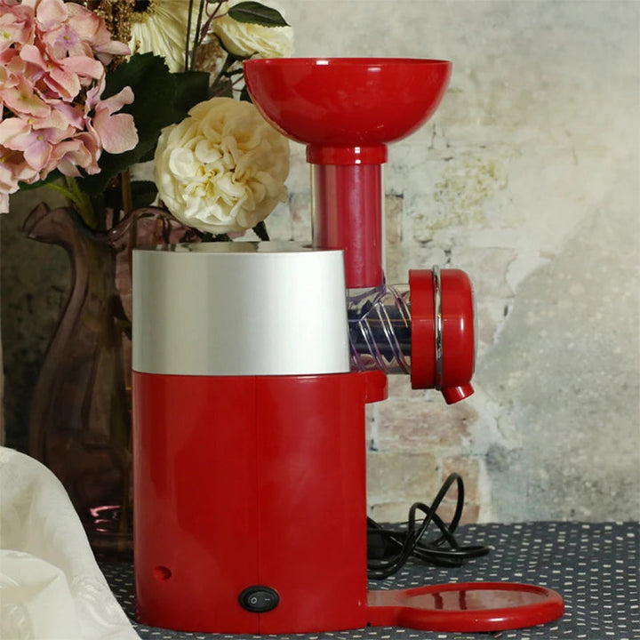 Lisslune | Automatic DIY Fruit Cone Ice Cream Maker