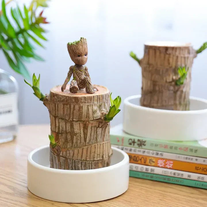 Lisslune | WoodlandNook - Mini-Terrarium for fresh air and positive energy