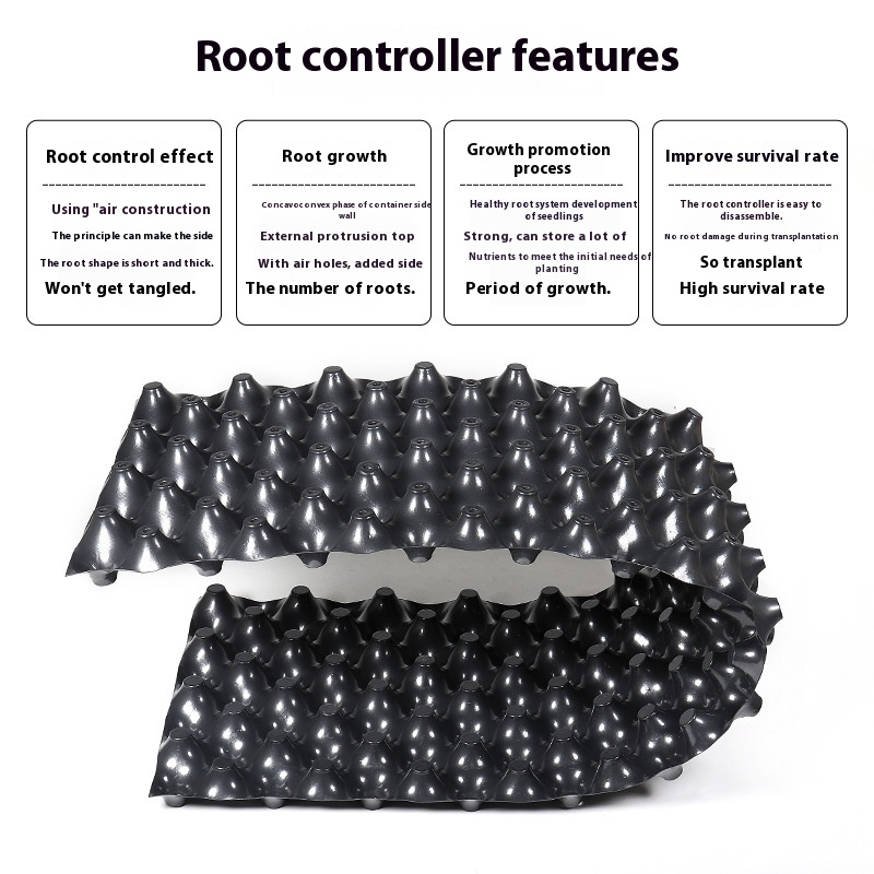 Lisslune | Root control device for plants and landscaping to promote healthy growth