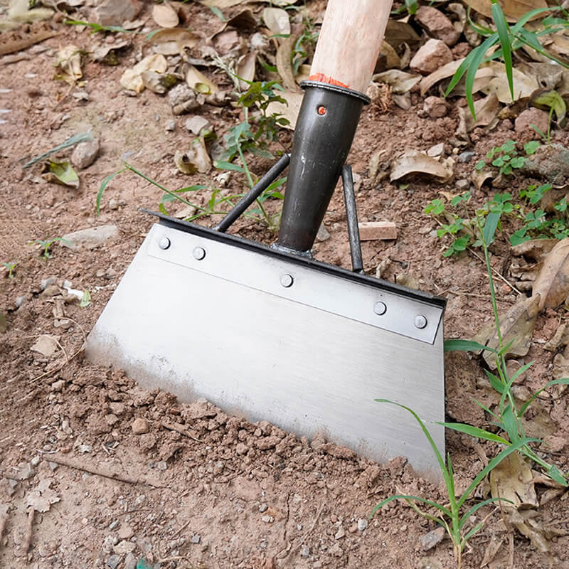 Lisslune | Multifunctional Cleaning Scoop