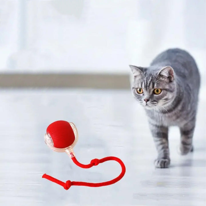 Lisslune | Indoor Cat interactive ball