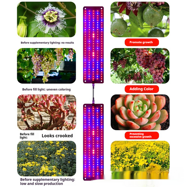 Lisslune | LED Quantum Plant Light Panel for Growth and Color Promotion – With Adjustable Light Mode