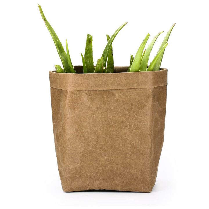Lisslune | Stylish plant pots made of paper for modern decoration