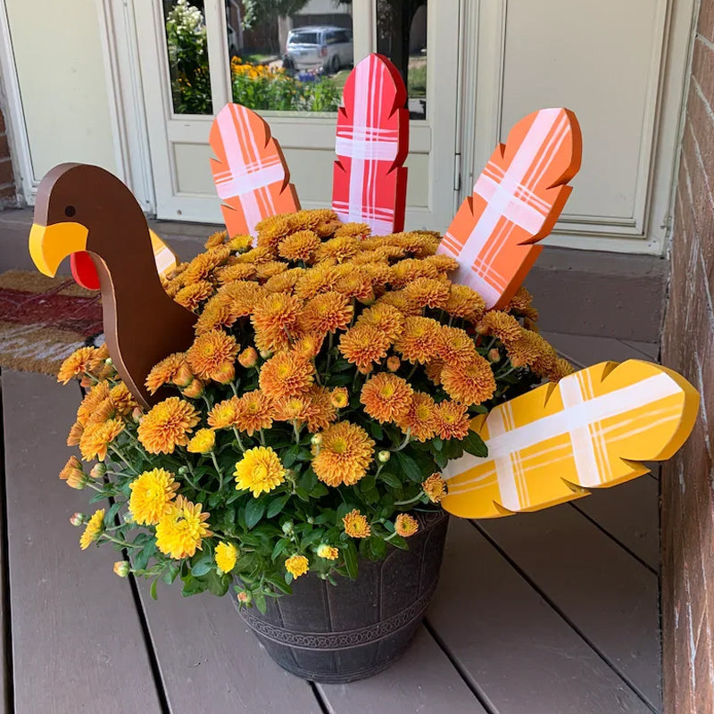 Lisslune | Thanksgiving Turkey Decorating