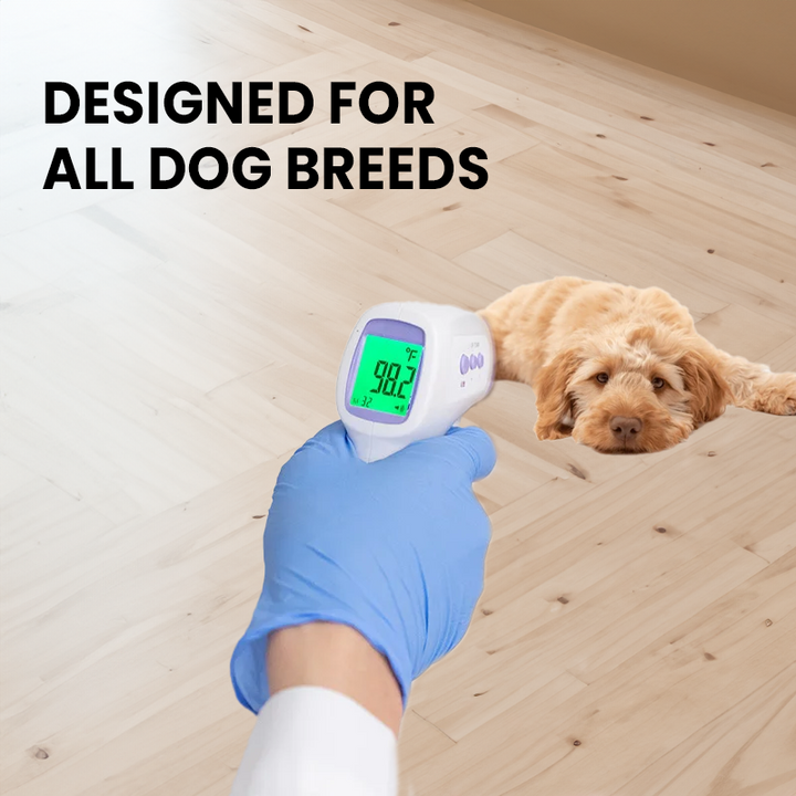 Lisslune | No-Contact Dog Thermometer with One Click Reading