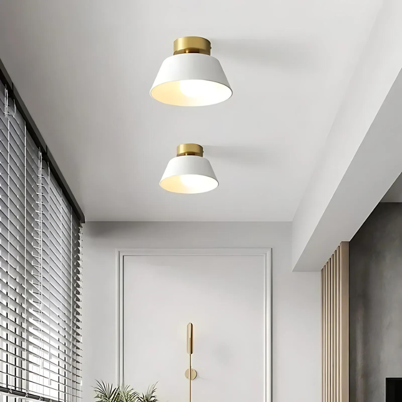 Lisslune | | Stylish LED ceiling lamp for your home