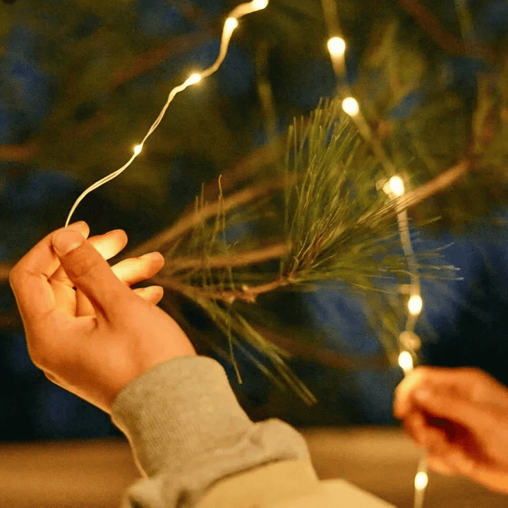 Lisslune | String Light Pack | 1 CAUGHT = 1 FREE