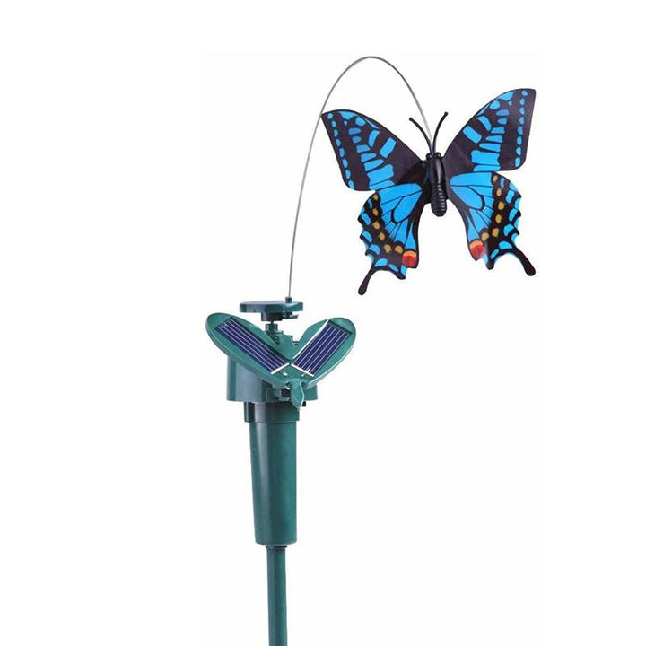 Lisslune | Solar-powered dancing hummingbird and butterfly