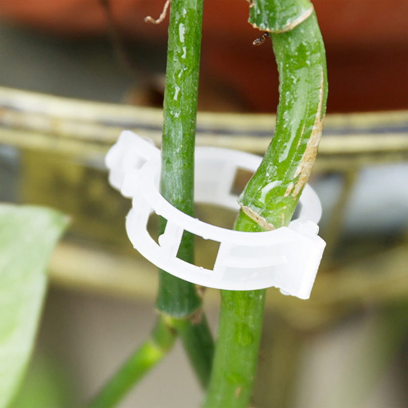 Lisslune | Practical Plant Support Clip