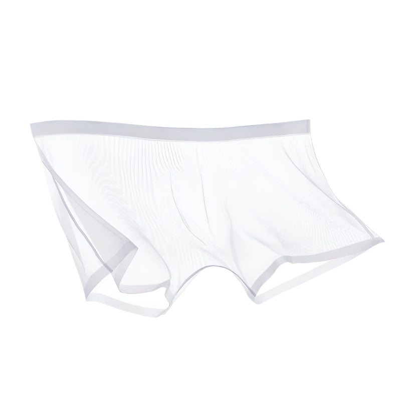 Lisslune | ICE-MESH-BOXER SHORTS