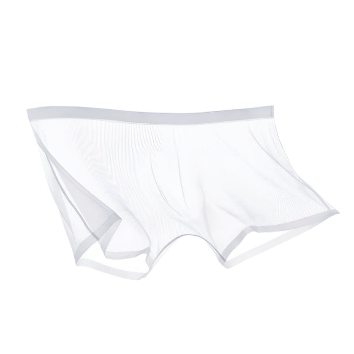 Lisslune | ICE-MESH-BOXER SHORTS