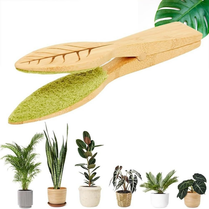 Lisslune | Plant leaf cleaning tongs made of wood for gentle leaf care