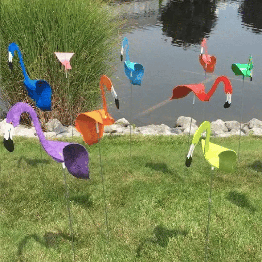 Lisslune | Flamingo Dancing