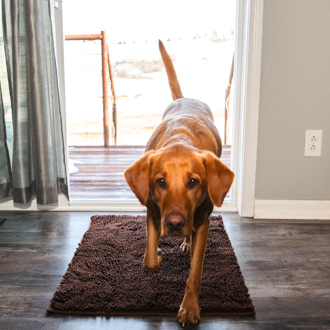 Lisslune | Joep Dog Door Mat – Super Absorbent Mat for Dirty Paws