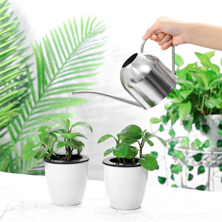 Lisslune | Stainless Steel Watering Can with Flexible Neck | Modern Design | Perfect Watering | Rustproof