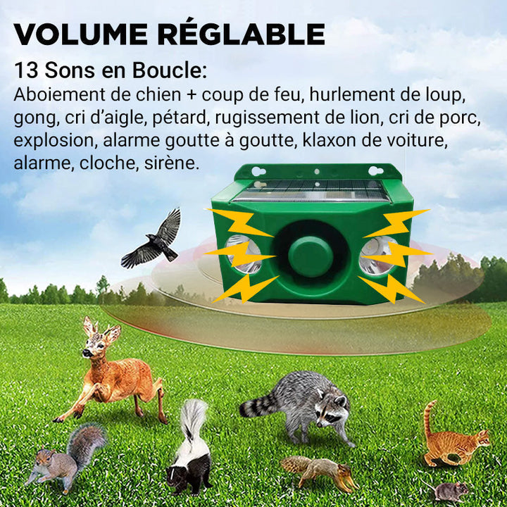 Lisslune | Solar-Warning Lamp Anti-Bête with High Volume