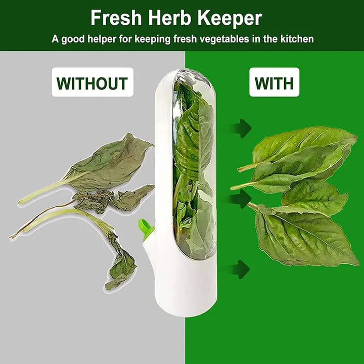 Lisslune | Herb Fresh Holder
