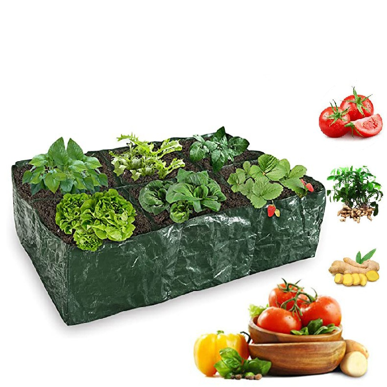 Lisslune | Planting bag with multiple compartments – Robust garden storage for plants and herbs