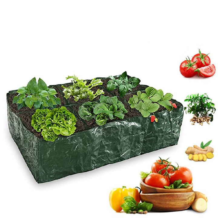 Lisslune | Planting bag with multiple compartments – Robust garden storage for plants and herbs