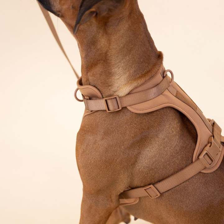 Lisslune | ComfyPaws Dog Harness Walking Set with Leash and Poop Bag Holder