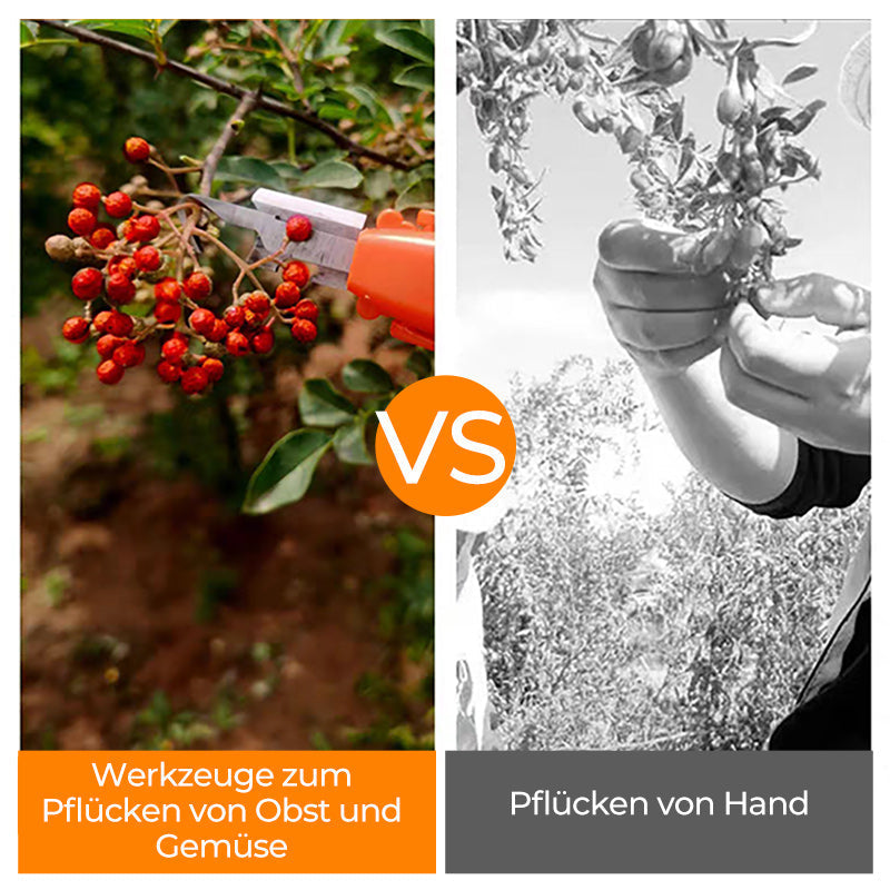 Lisslune | Efficient Pepper Collecting Tools