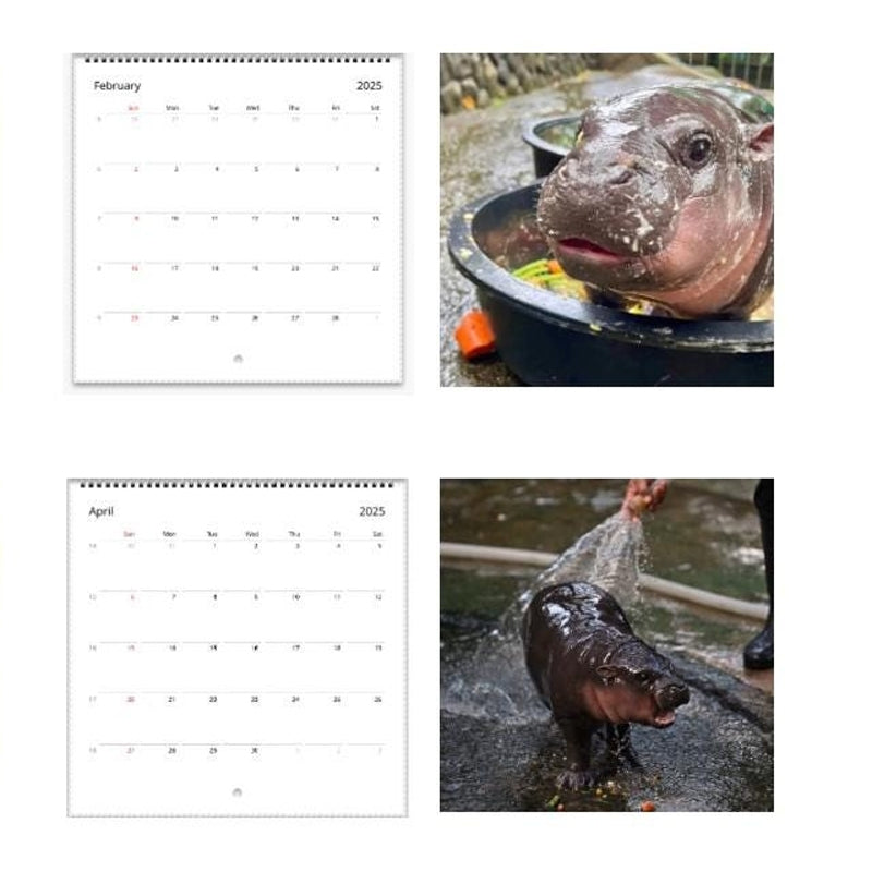 Lisslune | Moo Deng Calendar | Calendar 2025