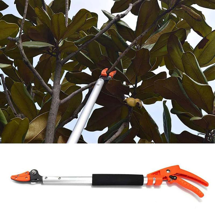 Lisslune | TrimReach – Effortless Cutting of Tall Hedges