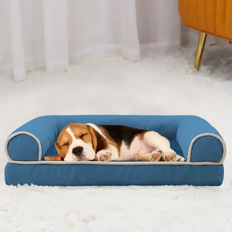 Lisslune | COZYTAIL - Premium Orthopedic Sofa Bed