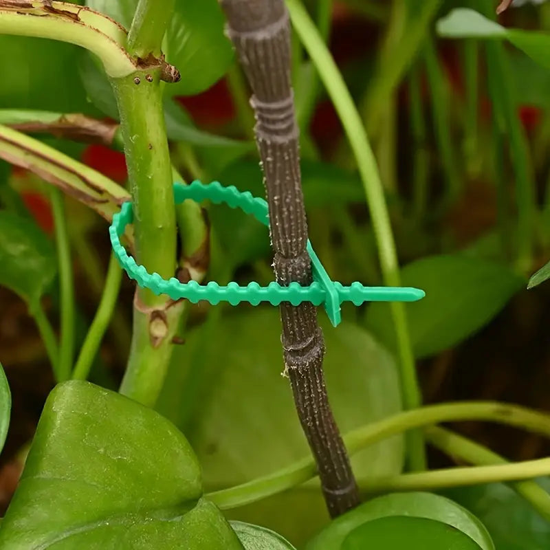 Lisslune | Plant fastening cable tie set for stable securing of plants