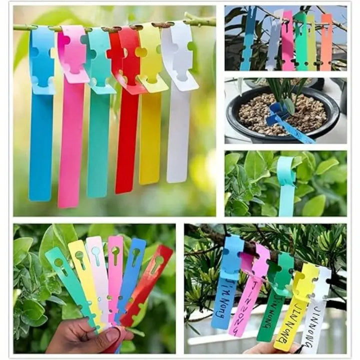 Lisslune | Reusable plant labels made of plastic for garden and tree marking