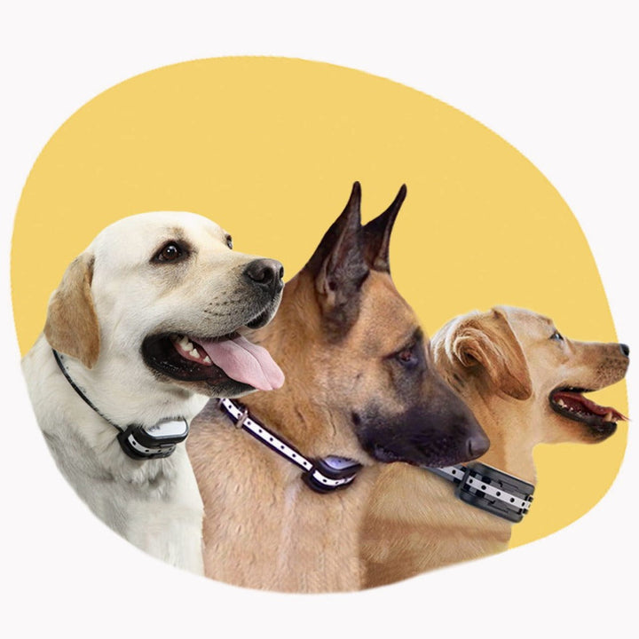 Lisslune | SafeZone Wireless Dog Fence & Training Collar – Rechargeable, Waterproof & Pet-Friendly Correction Modes