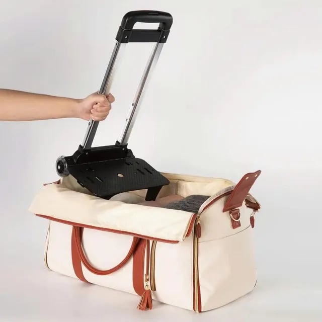 Lisslune |  Foldable Travel Bag 2.0