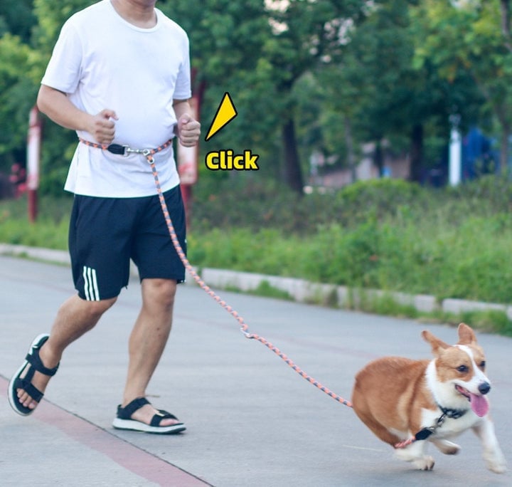 Lisslune | Hands Free Dog Leashes