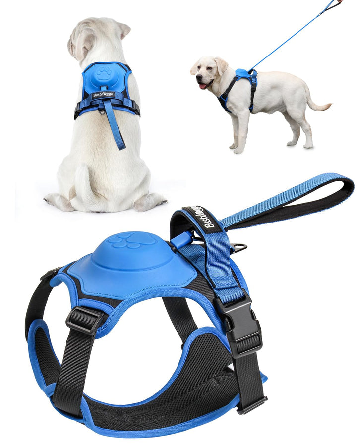 Lisslune | mamymarket™ - Dog Harness and Retractable Leash Set All-in-One