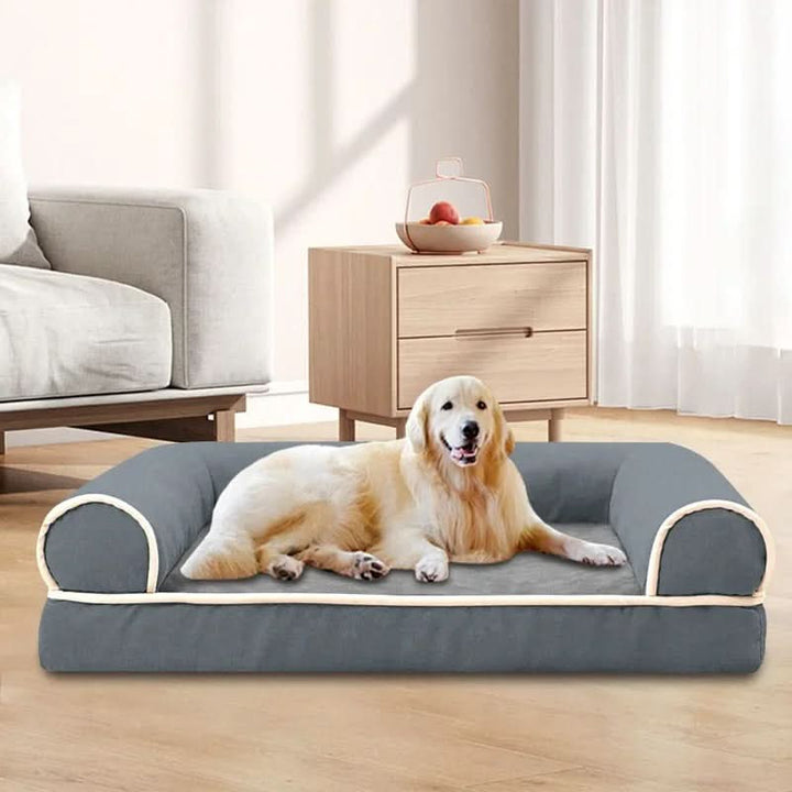 Lisslune | COZYTAIL - Premium Orthopedic Sofa Bed